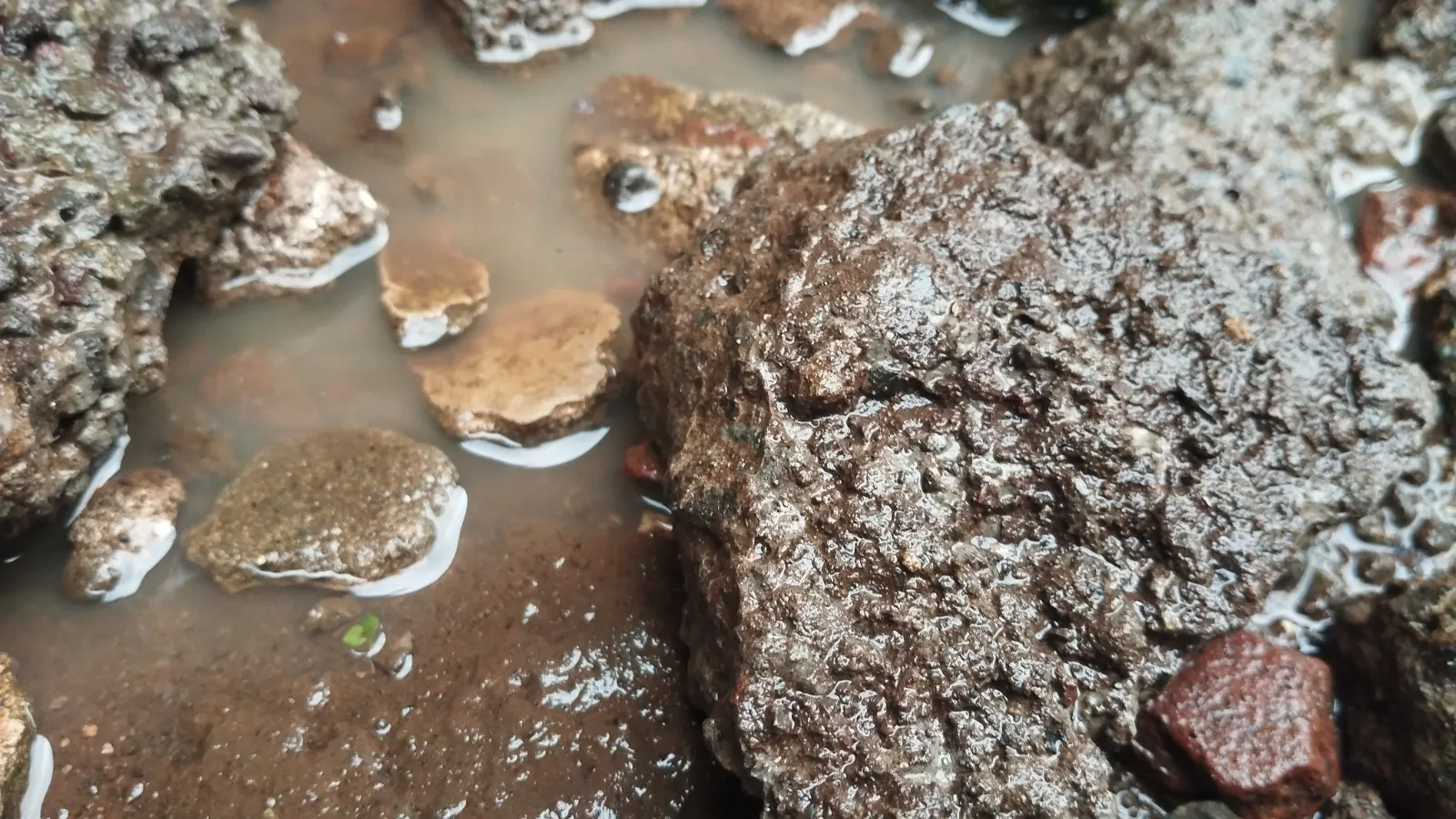 (Water-)Bodemonderzoek